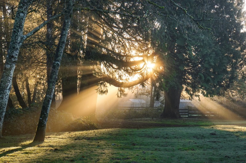 затемлений баркод, спричинений Sunlight.jpg