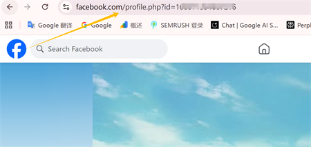 посилання на профіль Facebook